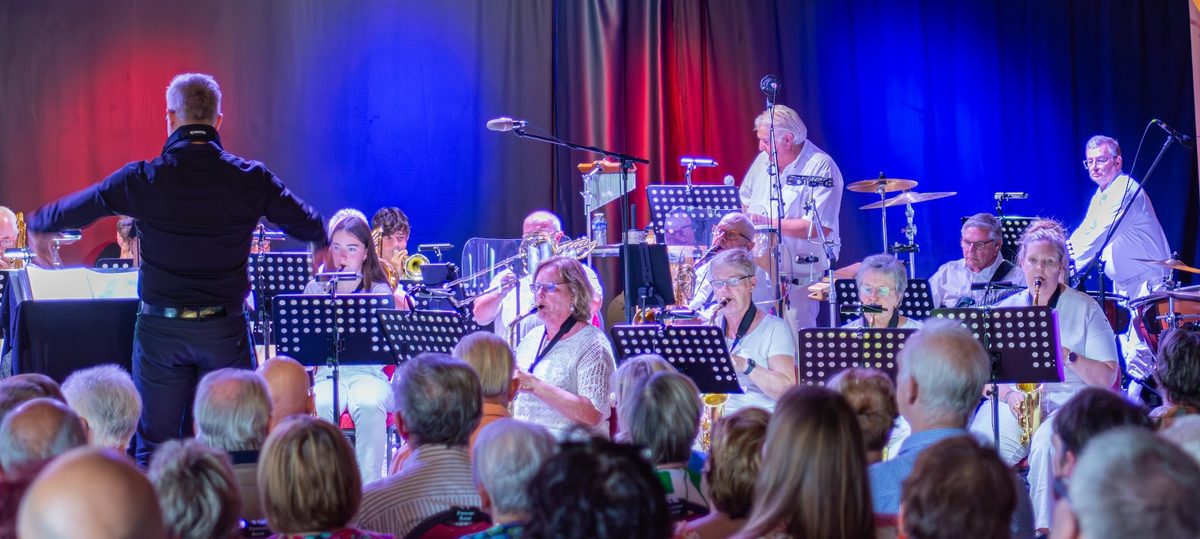 Publiek en sfeerbeeld tijdens concert